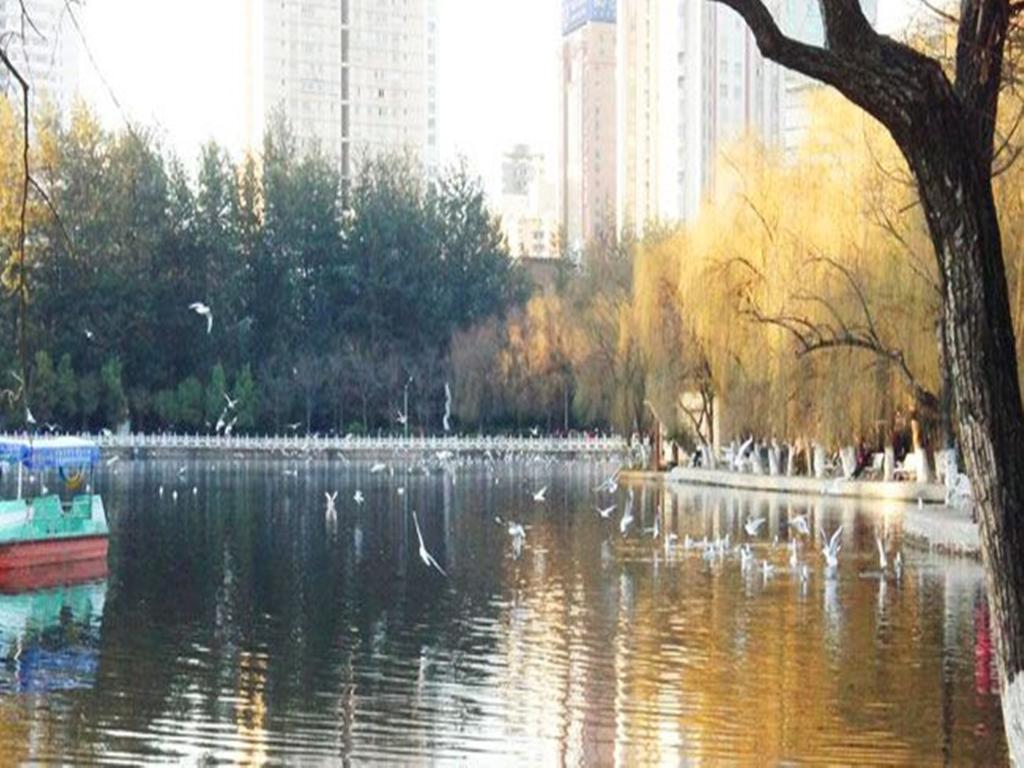 Dynasty International Hotel Kunming Exteriör bild